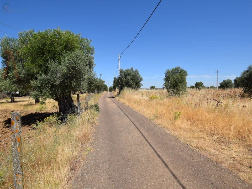 Terreno Agricola ou Rústico para Venda em Caia, São Pedro e Alcáçova Foto 16