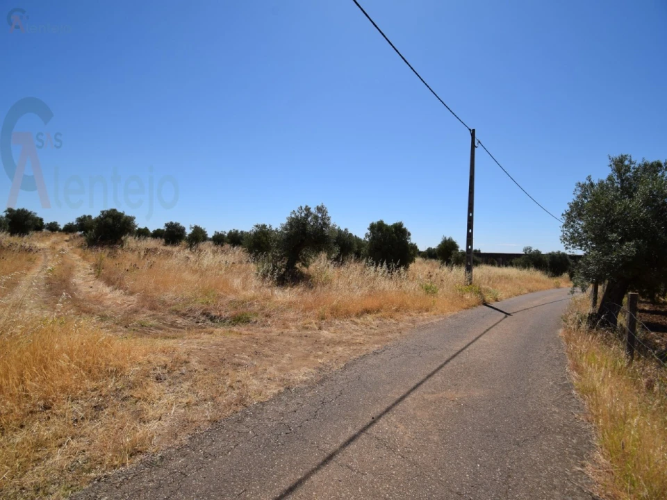 Terreno Agricola ou Rústico para Venda em Caia, São Pedro e Alcáçova Foto 18