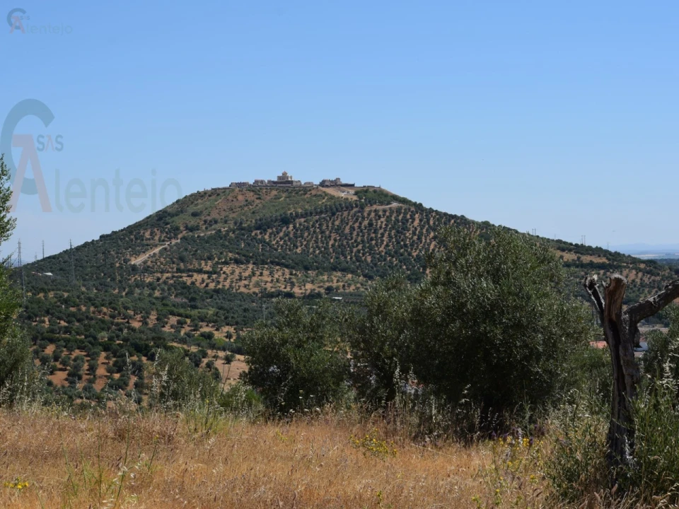 Terreno Agricola ou Rústico para Venda em Caia, São Pedro e Alcáçova Foto 4