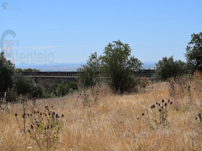 Terreno Agricola ou Rústico para Venda em Caia, São Pedro e Alcáçova Foto 7