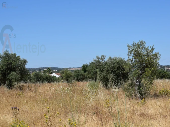 Terreno Agricola ou Rústico para Venda em Caia, São Pedro e Alcáçova
