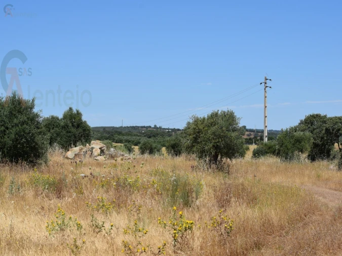 Terreno Agricola ou Rústico para Venda em Caia, São Pedro e Alcáçova Foto 9