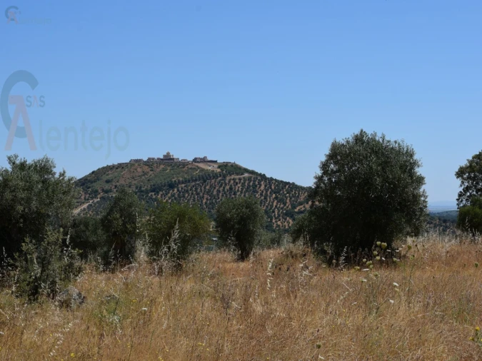 Terreno Agricola ou Rústico para Venda em Caia, São Pedro e Alcáçova Foto 10