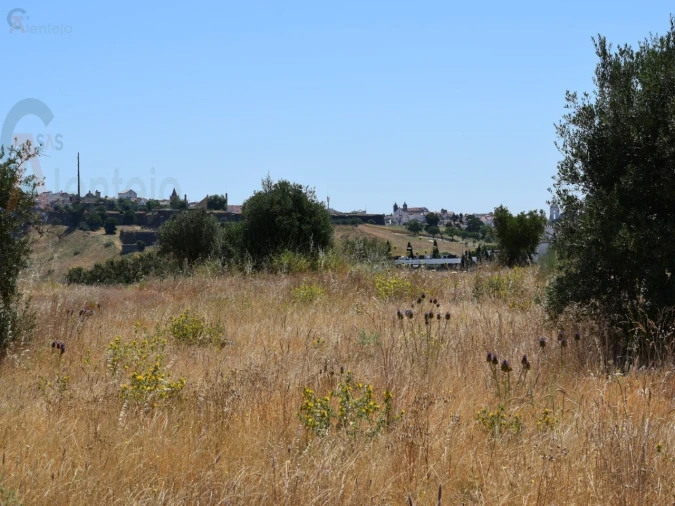 Terreno Agricola ou Rústico para Venda em Caia, São Pedro e Alcáçova Foto 12