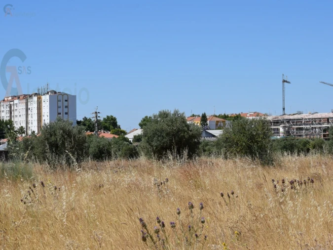 Terreno Agricola ou Rústico para Venda em Caia, São Pedro e Alcáçova Foto 13