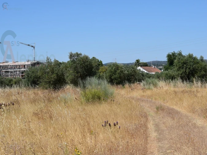 Terreno Agricola ou Rústico para Venda em Caia, São Pedro e Alcáçova Foto 14