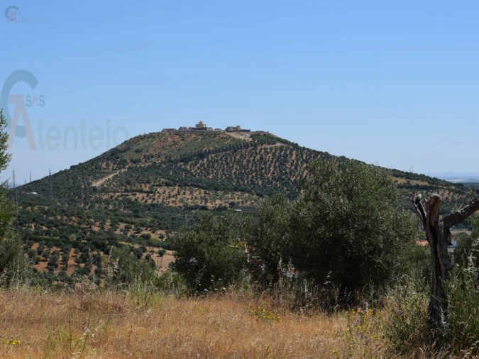 Terreno Agricola ou Rústico para Venda em Caia, São Pedro e Alcáçova Foto 4