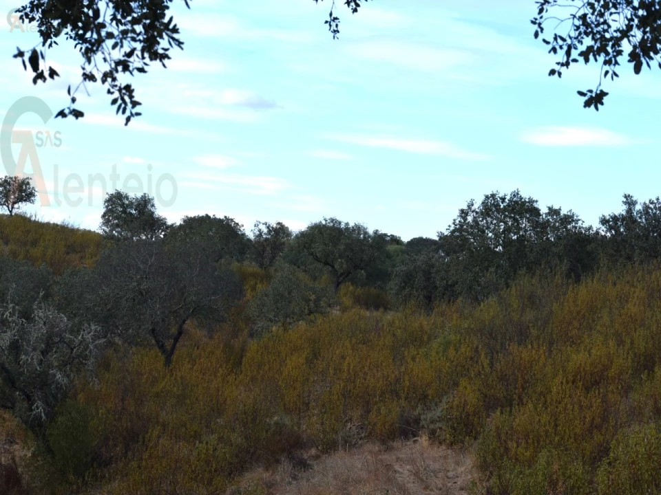 Terreno Agricola ou Rústico para Venda em Nossa Senhora da Conceição, São Brás dos Matos, Juromenha Foto 8