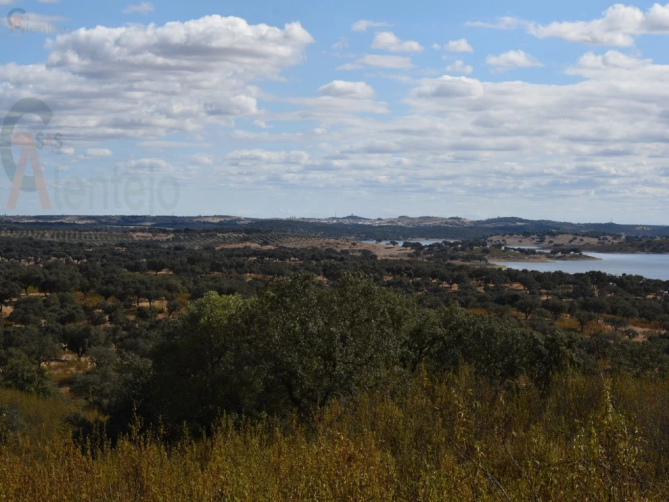 Terreno Agricola ou Rústico para Venda em Nossa Senhora da Conceição, São Brás dos Matos, Juromenha Foto 12