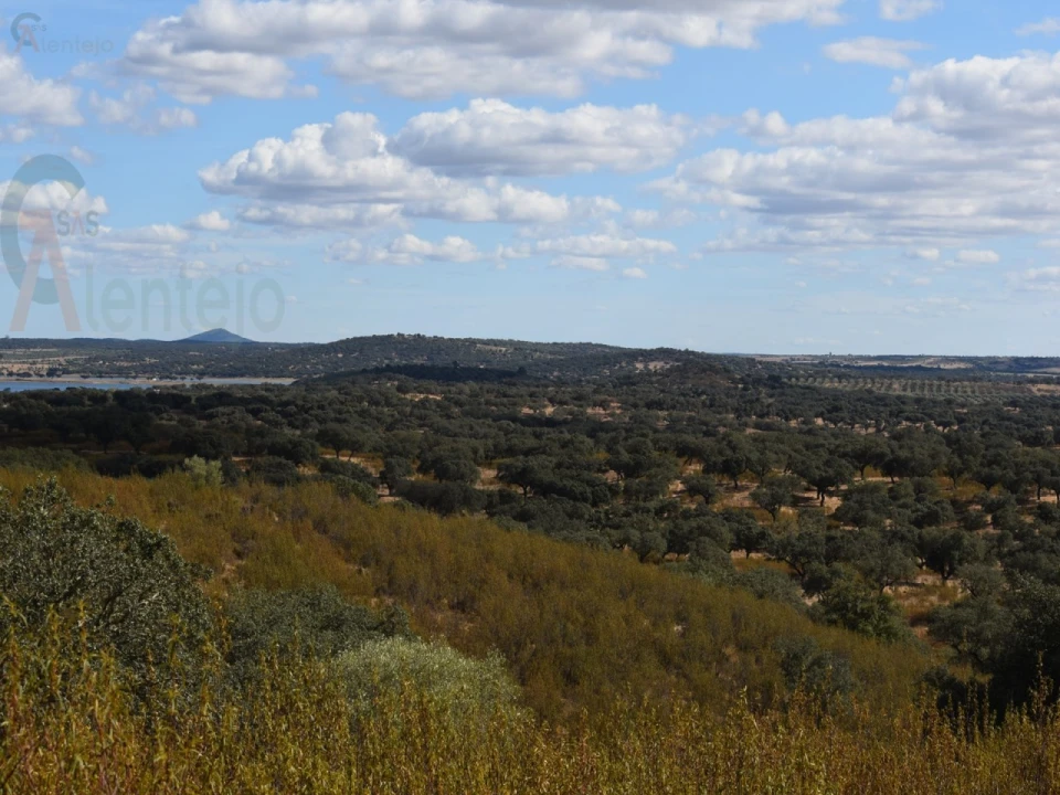 Terreno Agricola ou Rústico para Venda em Nossa Senhora da Conceição, São Brás dos Matos, Juromenha Foto 14