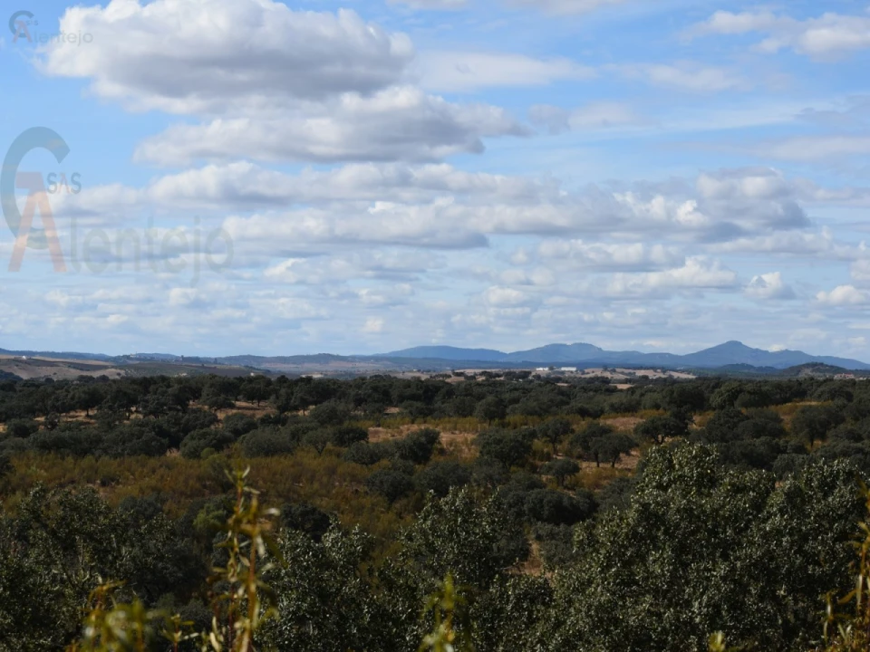 Terreno Agricola ou Rústico para Venda em Nossa Senhora da Conceição, São Brás dos Matos, Juromenha Foto 15