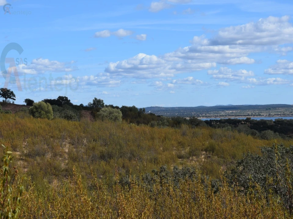 Terreno Agricola ou Rústico para Venda em Nossa Senhora da Conceição, São Brás dos Matos, Juromenha Foto 16