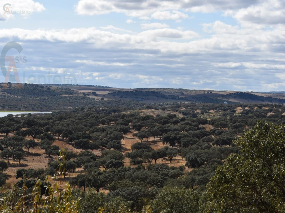 Terreno Agricola ou Rústico para Venda em Nossa Senhora da Conceição, São Brás dos Matos, Juromenha Foto 17
