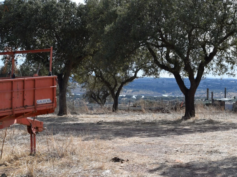 Terreno Agricola ou Rústico para Venda em Nossa Senhora da Conceição, São Brás dos Matos, Juromenha Foto 18