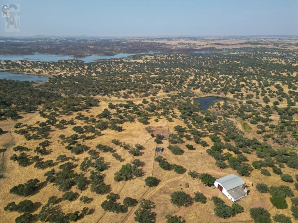 Terreno Agricola ou Rústico para Venda em Nossa Senhora da Conceição, São Brás dos Matos, Juromenha Foto 1