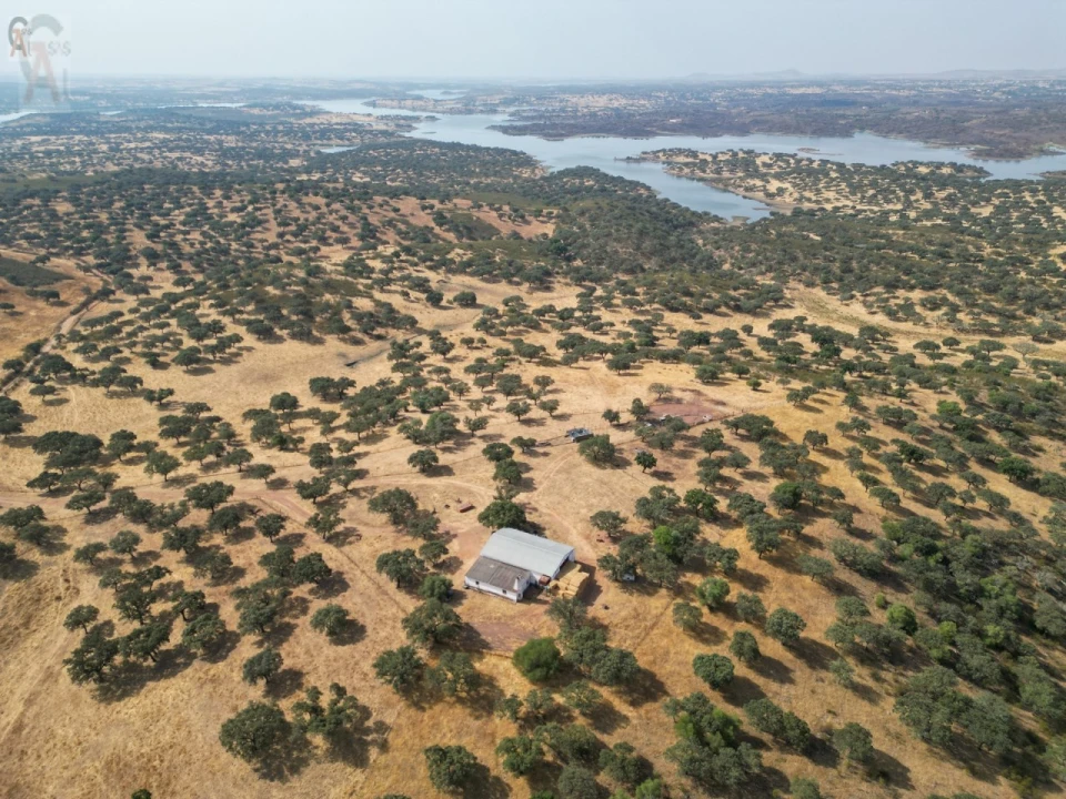 Terreno Agricola ou Rústico para Venda em Nossa Senhora da Conceição, São Brás dos Matos, Juromenha Foto 23