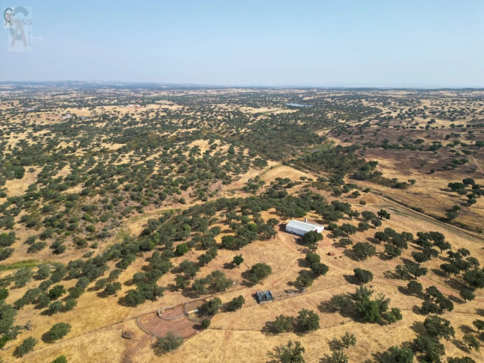 Terreno Agricola ou Rústico para Venda em Nossa Senhora da Conceição, São Brás dos Matos, Juromenha Foto 25