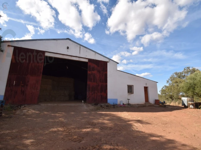 Terreno Agricola ou Rústico para Venda em Nossa Senhora da Conceição, São Brás dos Matos, Juromenha Foto 4