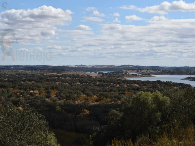 Terreno Agricola ou Rústico para Venda em Nossa Senhora da Conceição, São Brás dos Matos, Juromenha Foto 11