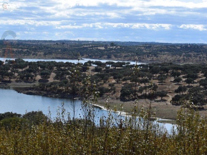 Terreno Agricola ou Rústico para Venda em Nossa Senhora da Conceição, São Brás dos Matos, Juromenha Foto 13