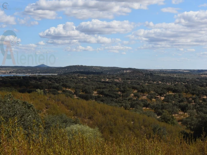 Terreno Agricola ou Rústico para Venda em Nossa Senhora da Conceição, São Brás dos Matos, Juromenha Foto 14
