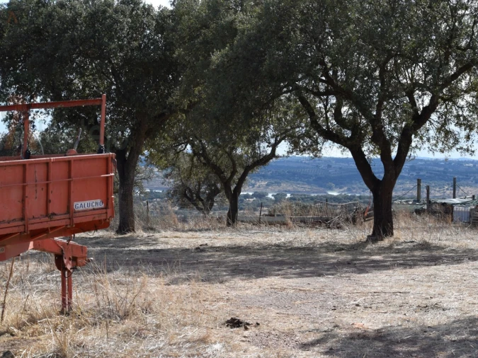 Terreno Agricola ou Rústico para Venda em Nossa Senhora da Conceição, São Brás dos Matos, Juromenha Foto 18