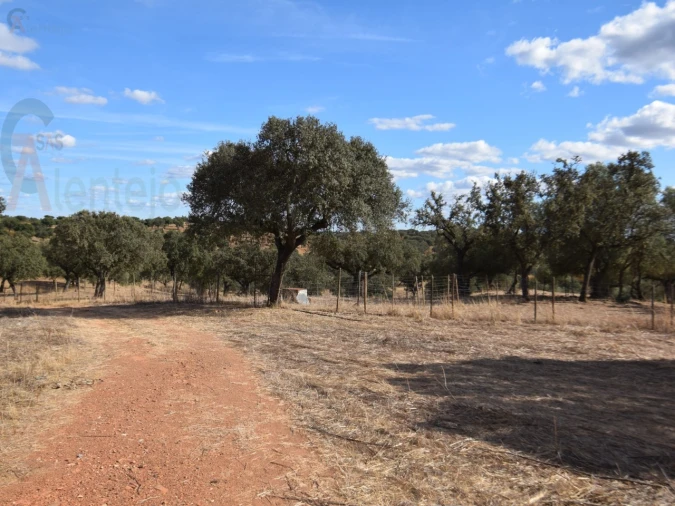 Terreno Agricola ou Rústico para Venda em Nossa Senhora da Conceição, São Brás dos Matos, Juromenha Foto 20