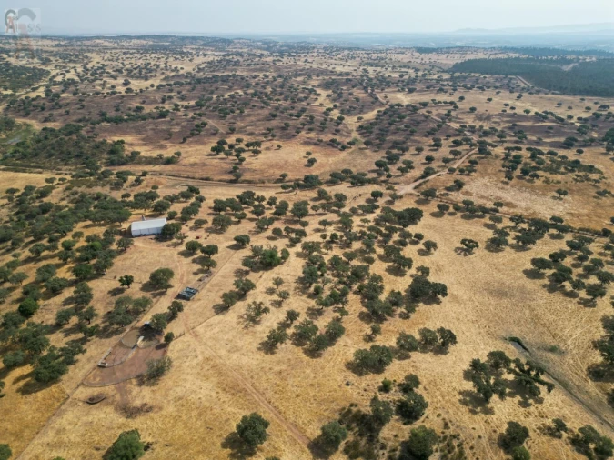 Terreno Agricola ou Rústico para Venda em Nossa Senhora da Conceição, São Brás dos Matos, Juromenha Foto 2