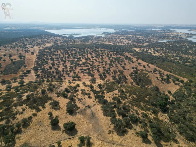 Terreno Agricola ou Rústico para Venda em Nossa Senhora da Conceição, São Brás dos Matos, Juromenha Foto 21