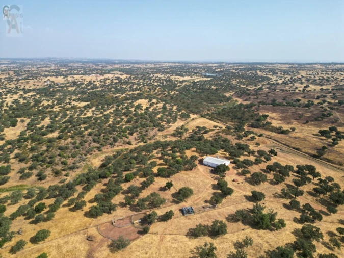 Terreno Agricola ou Rústico para Venda em Nossa Senhora da Conceição, São Brás dos Matos, Juromenha Foto 25