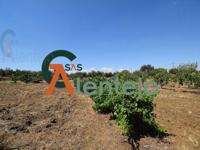 Quinta T4 para Venda em Assunção, Ajuda, Salvador e Santo Ildefonso Foto 31