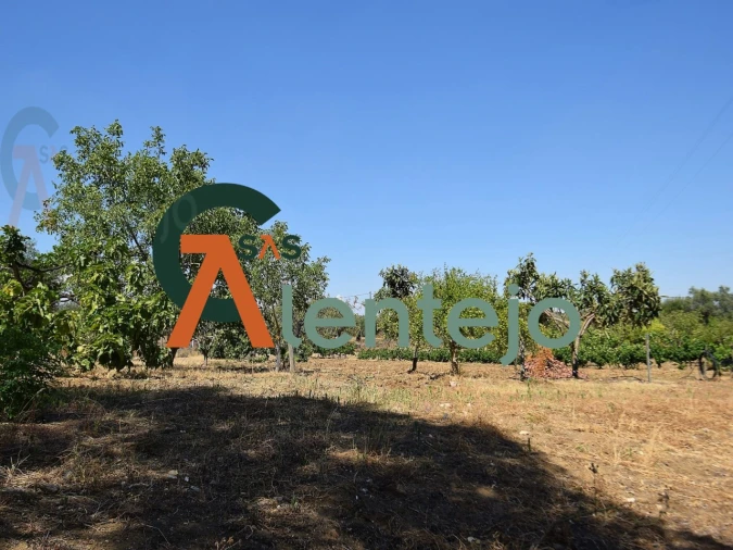 Quinta T4 para Venda em Assunção, Ajuda, Salvador e Santo Ildefonso Foto 32