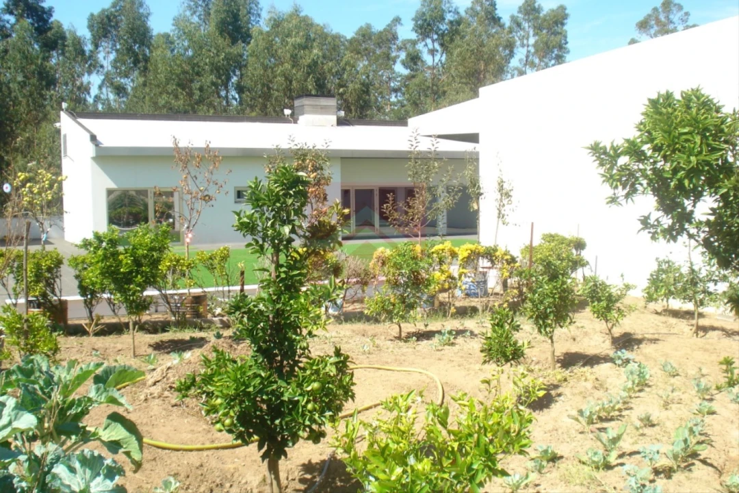 Quinta T3 para Venda em Baguim do Monte (Rio Tinto) Foto 4