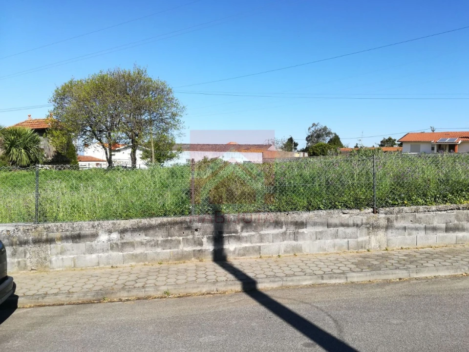Terreno Agricola ou Rústico para Venda em Esmoriz Foto 4