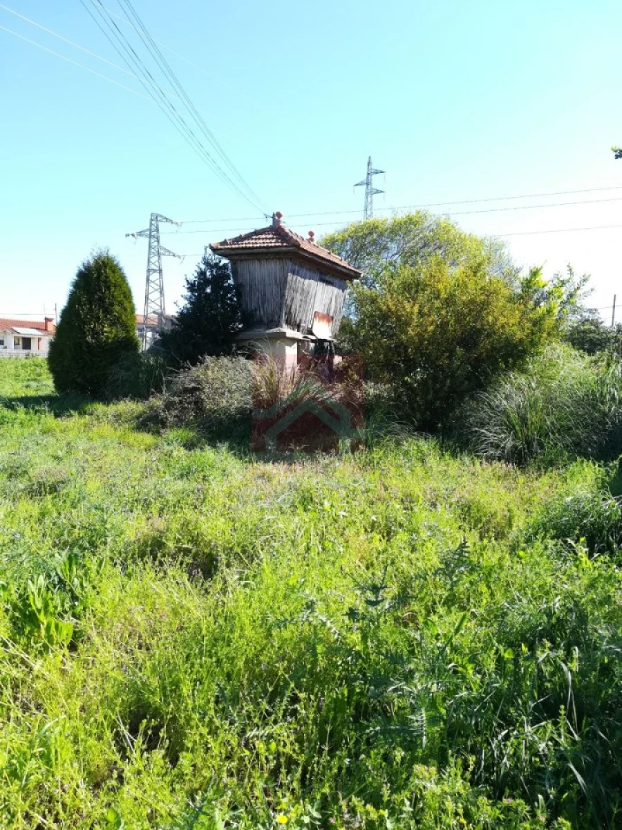 Terreno Agricola ou Rústico para Venda em Esmoriz Foto 2