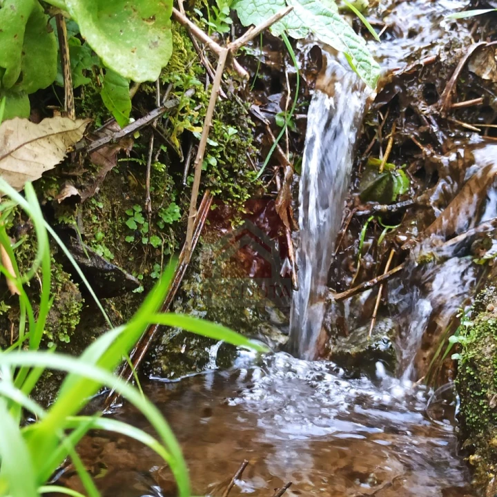 Terreno para Venda em Sobrado e Bairros Foto 4