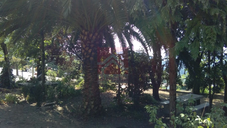 Moradia T4 para Venda em Souselo Foto 23