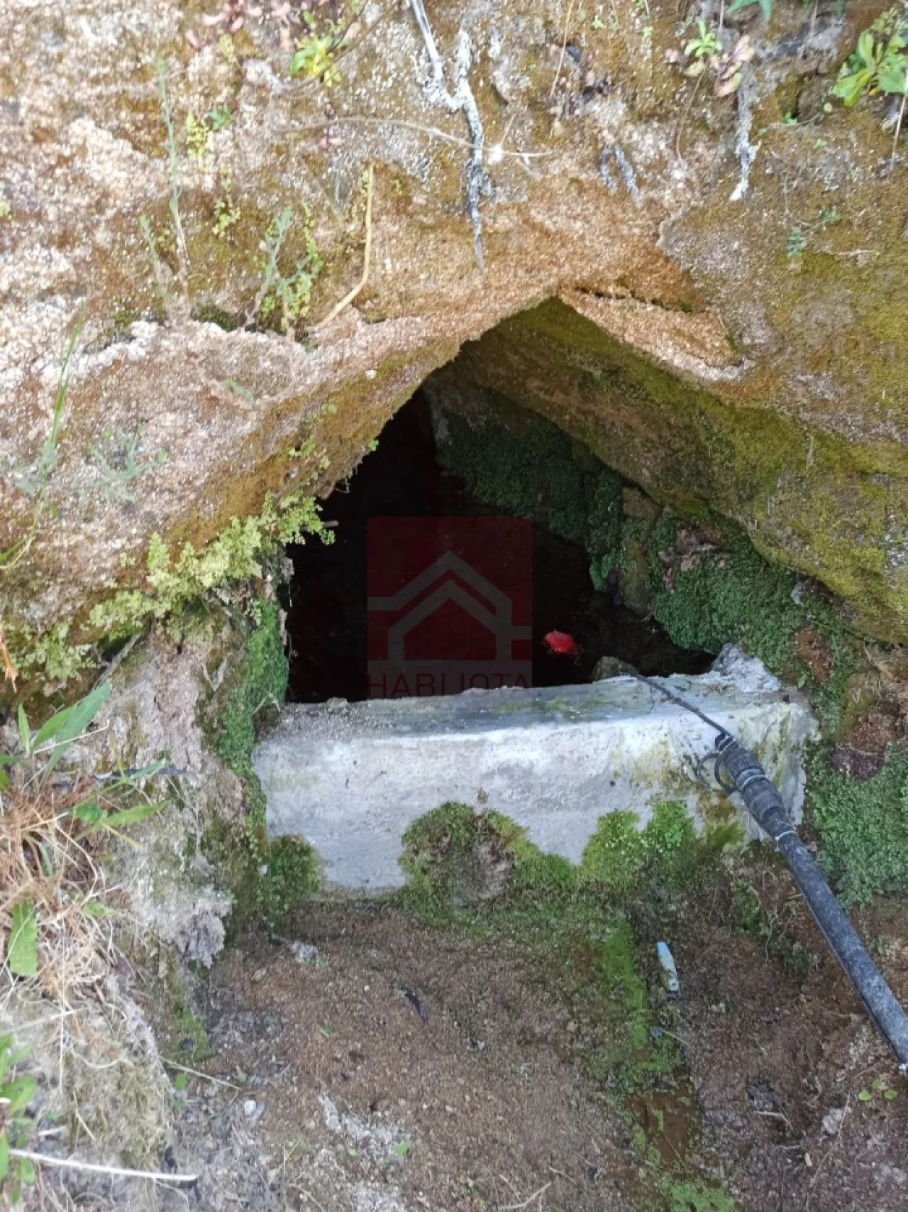 Quinta T3 para Venda em Cinfães Foto 31