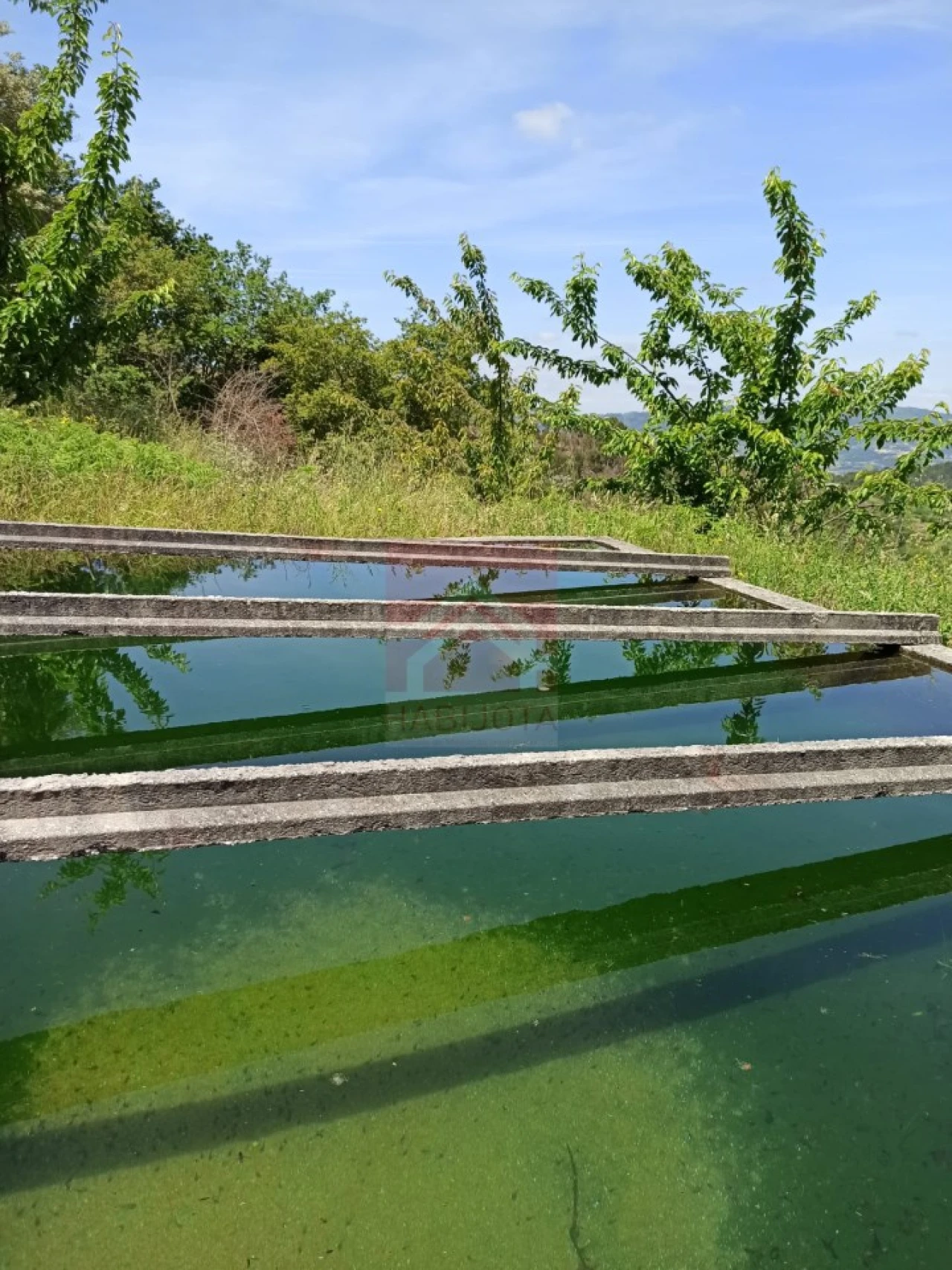 Quinta T3 para Venda em Cinfães Foto 32