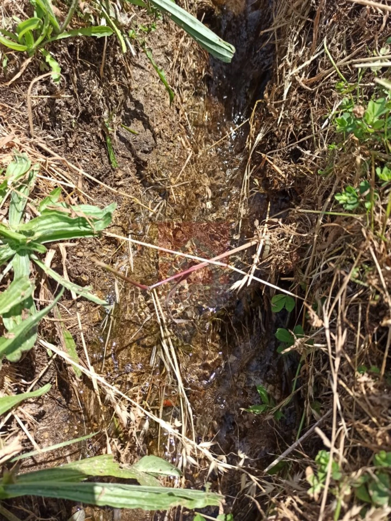 Quinta T3 para Venda em Cinfães Foto 33