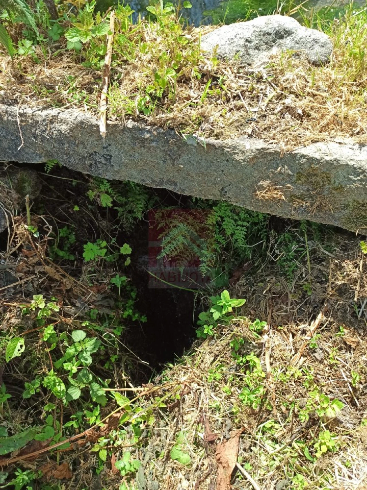 Quinta T3 para Venda em Cinfães Foto 34