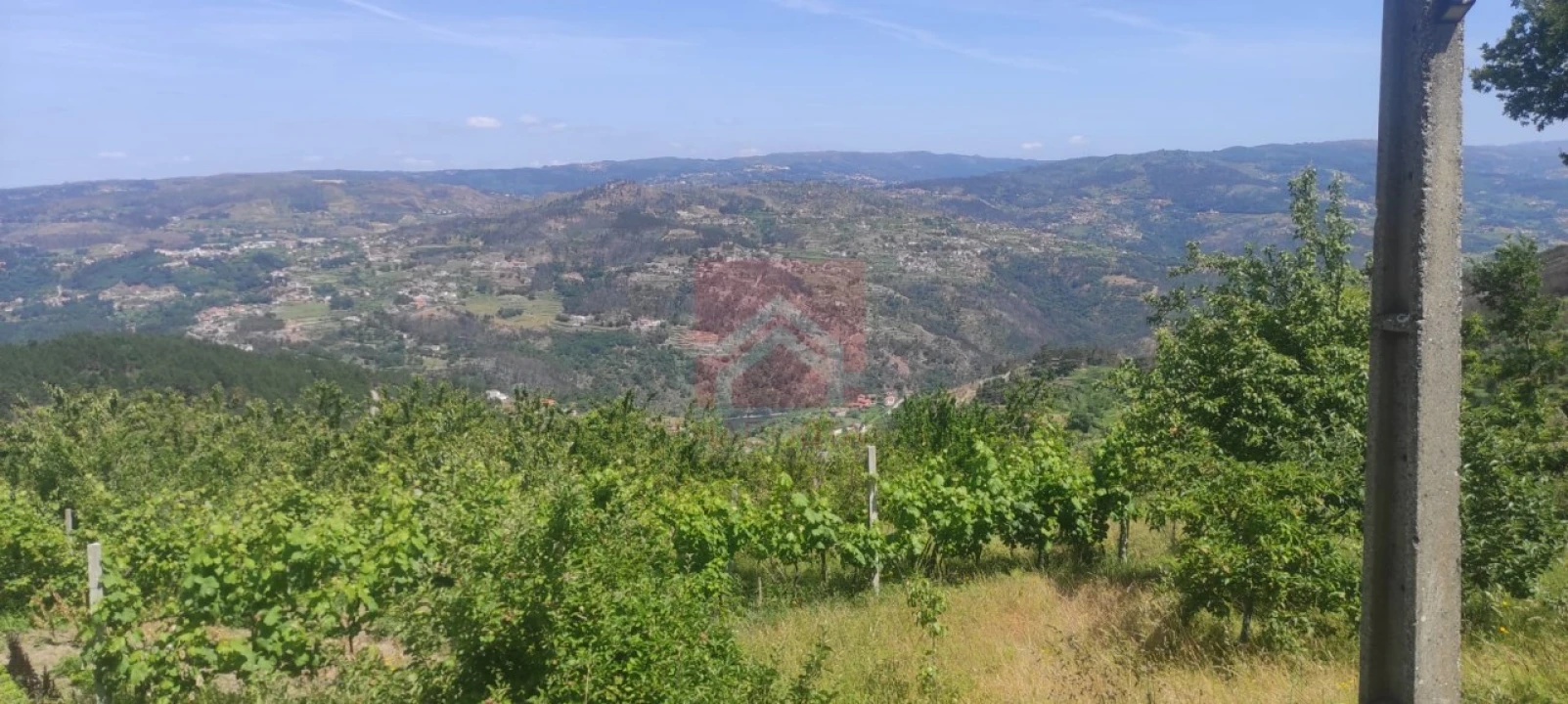 Quinta T3 para Venda em Cinfães Foto 4