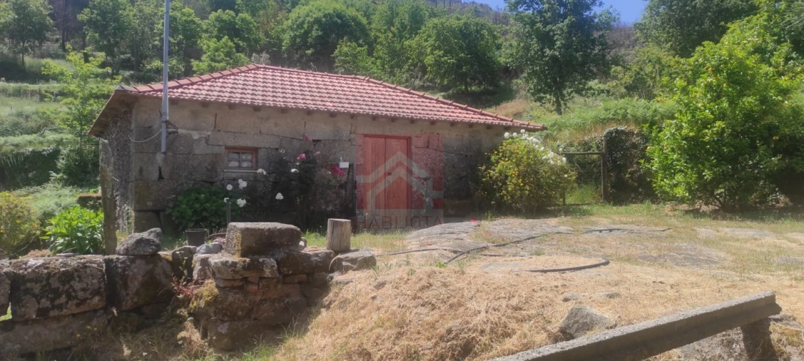 Quinta T3 para Venda em Cinfães Foto 3