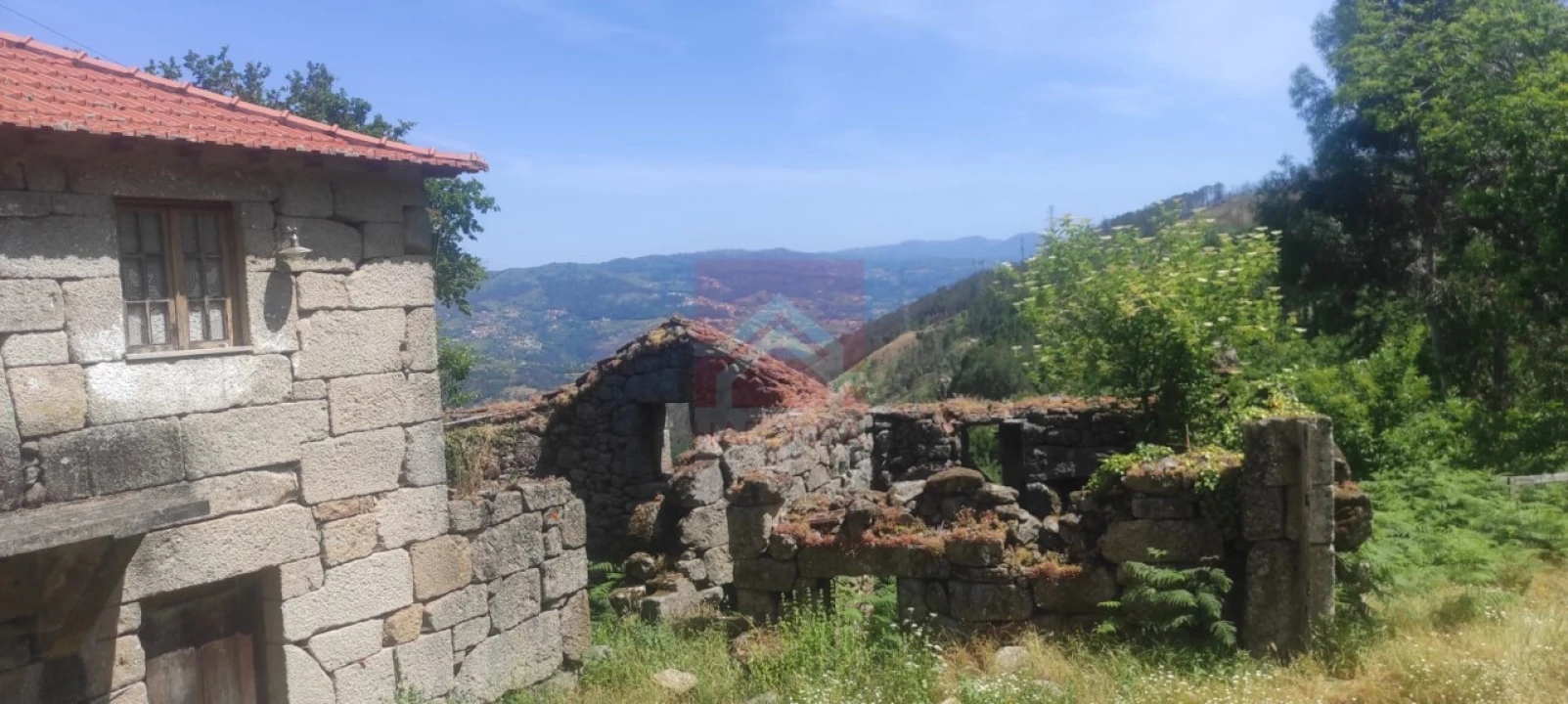 Quinta T3 para Venda em Cinfães Foto 9