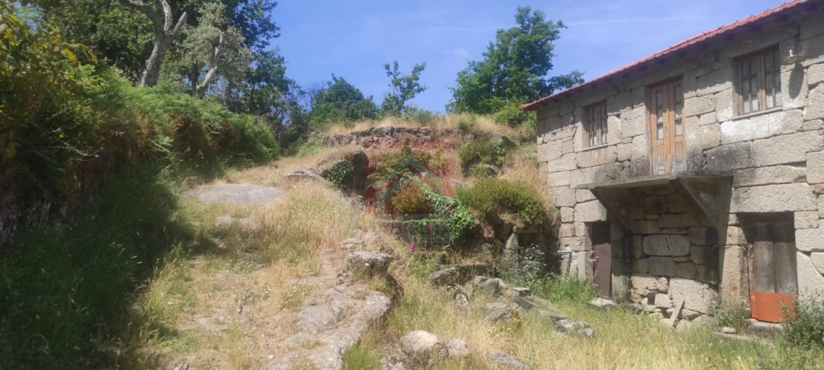 Quinta T3 para Venda em Cinfães Foto 10