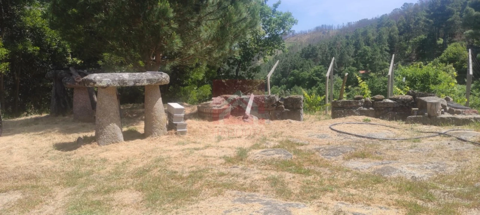 Quinta T3 para Venda em Cinfães Foto 17