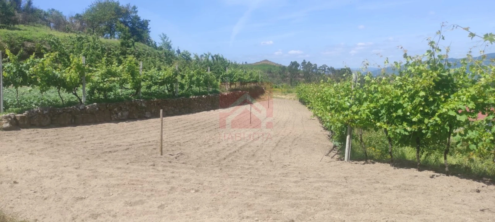 Quinta T3 para Venda em Cinfães Foto 30