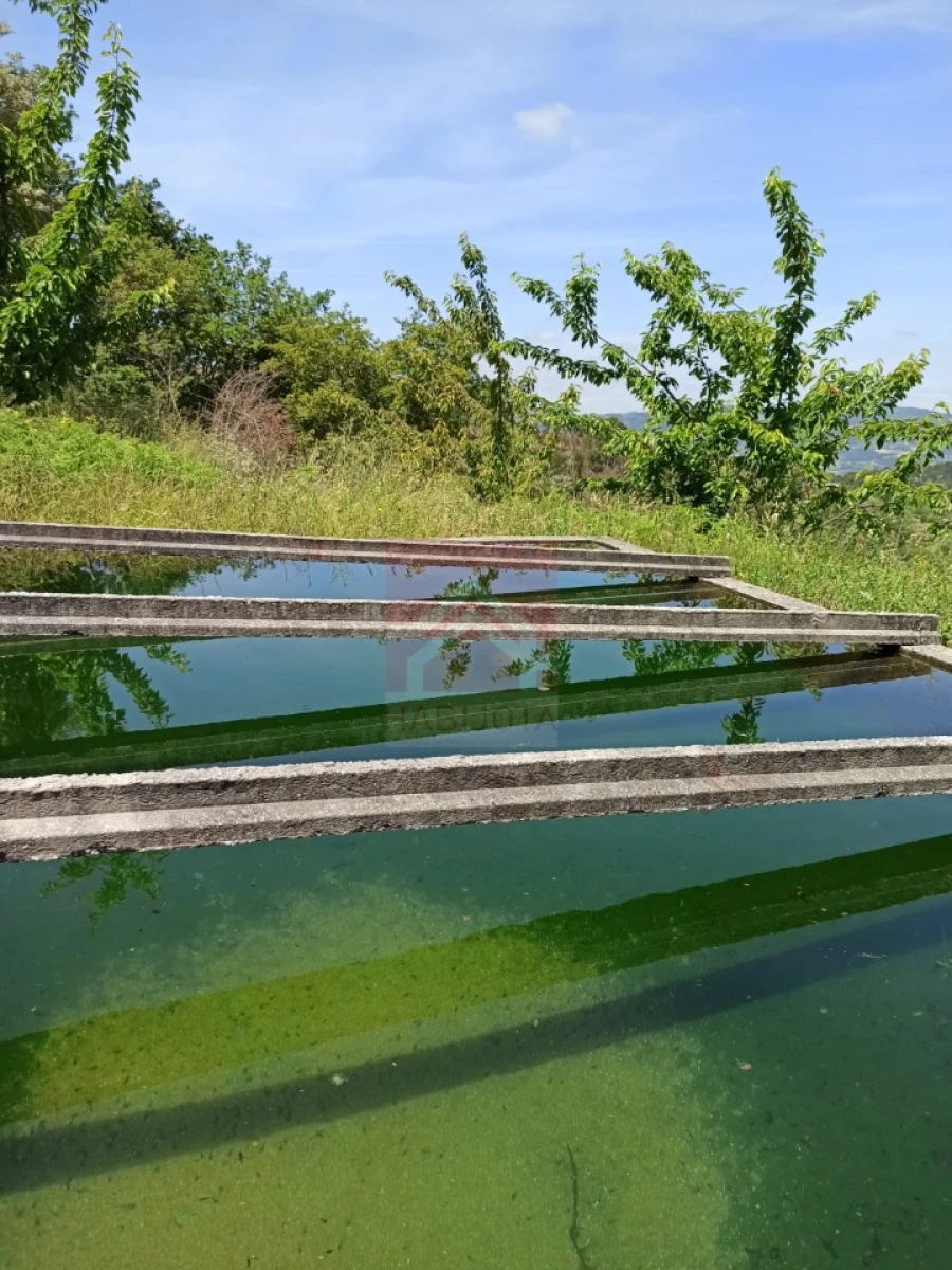 Quinta T3 para Venda em Cinfães Foto 32