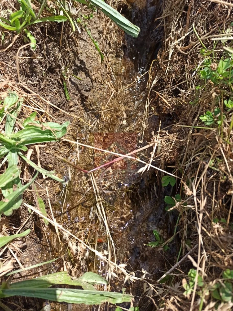 Quinta T3 para Venda em Cinfães Foto 33