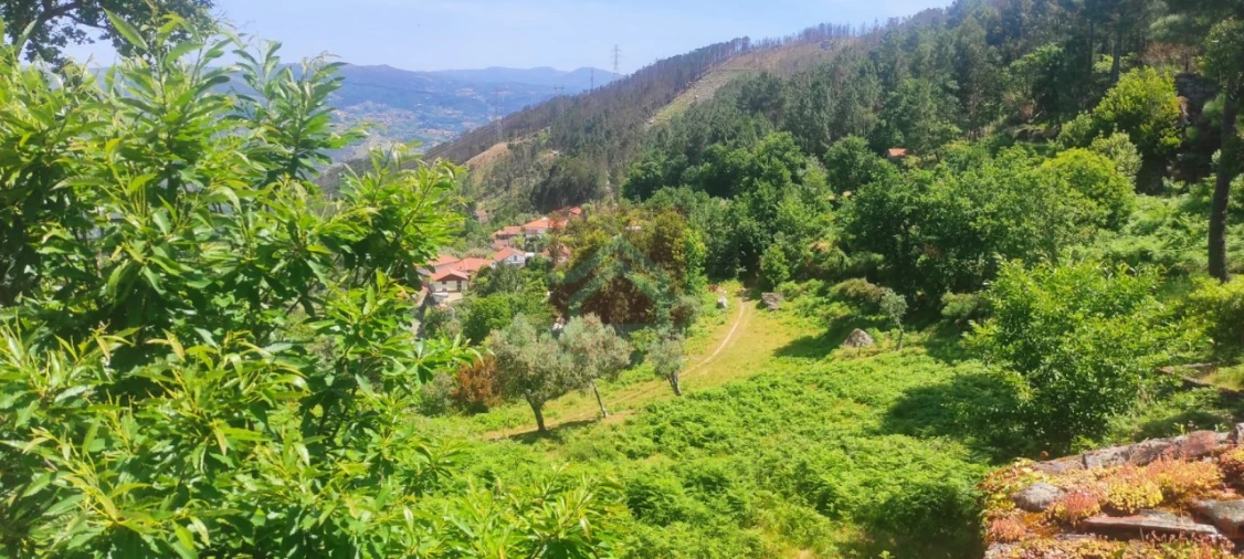 Quinta T3 para Venda em Cinfães Foto 6